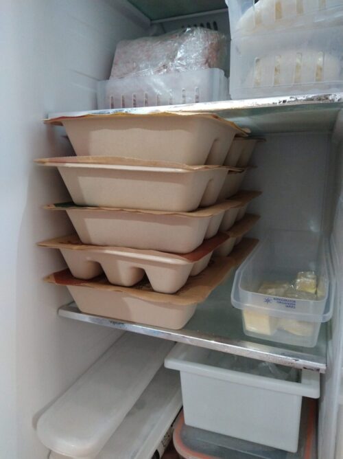 nosh10食冷蔵庫